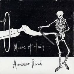 Andrew Bird : Music of Hair